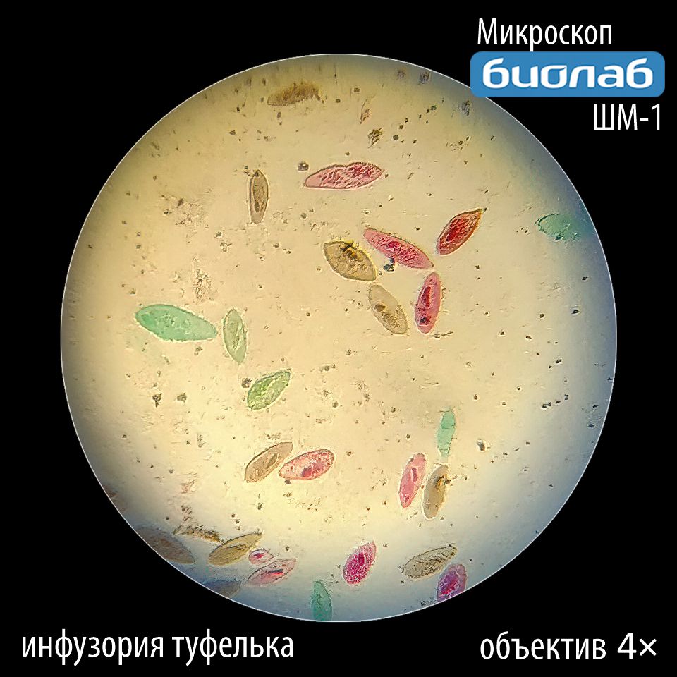 Увеличение 4х