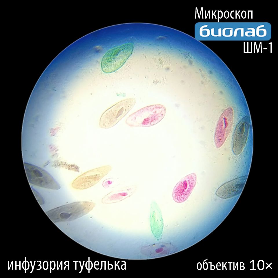 Увеличение 10х